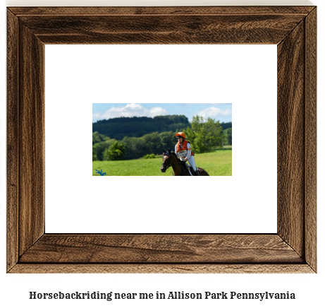 horseback riding near me in Allison Park, Pennsylvania